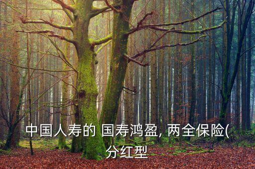 中國人壽的 國壽鴻盈, 兩全保險(分紅型