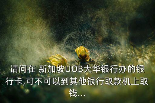 請問在 新加坡UOB大華銀行辦的銀行卡,可不可以到其他銀行取款機上取錢...