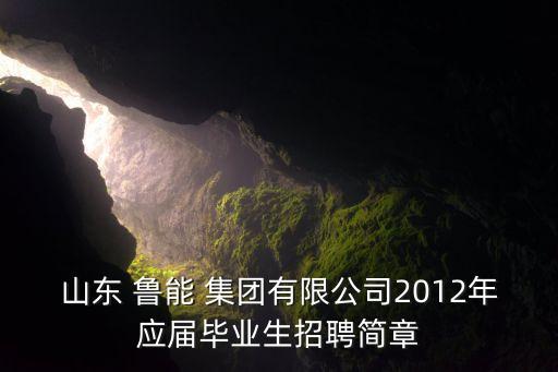 山東 魯能 集團有限公司2012年應屆畢業(yè)生招聘簡章