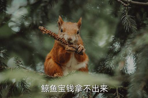  鯨魚寶錢拿不出來