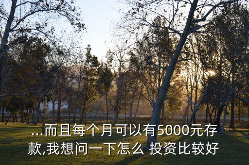 ...而且每個月可以有5000元存款,我想問一下怎么 投資比較好