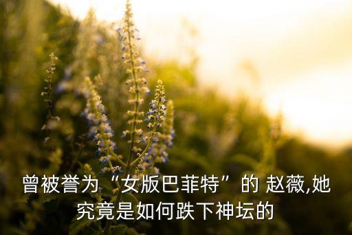 曾被譽為“女版巴菲特”的 趙薇,她究竟是如何跌下神壇的