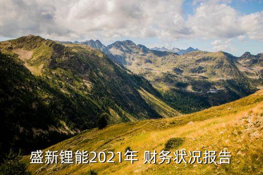 盛新鋰能2021年 財務(wù)狀況報告