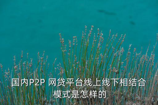 國內(nèi)P2P 網(wǎng)貸平臺線上線下相結(jié)合 模式是怎樣的