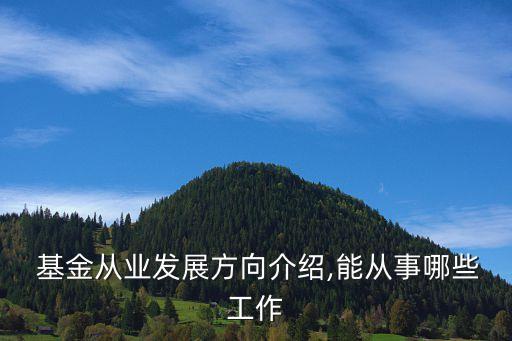 基金行業(yè)前景,中聯(lián)基金簡(jiǎn)介及前景