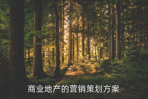 商業(yè)地產(chǎn)的營(yíng)銷策劃方案