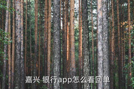  嘉興 銀行app怎么看回單