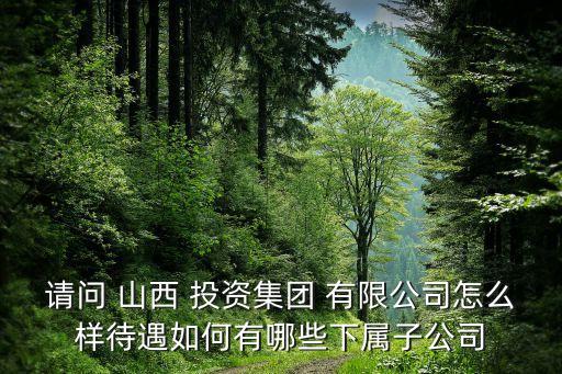 請問 山西 投資集團 有限公司怎么樣待遇如何有哪些下屬子公司