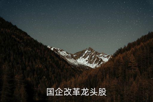 st中國(guó)遠(yuǎn)洋,中國(guó)遠(yuǎn)洋集團(tuán)領(lǐng)導(dǎo)名單