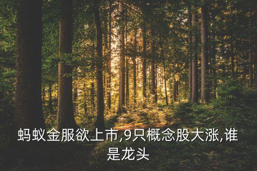 螞蟻金服欲上市,9只概念股大漲,誰(shuí)是龍頭