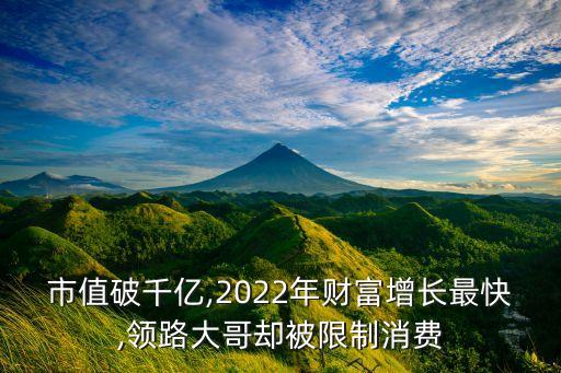 市值破千億,2022年財富增長最快,領(lǐng)路大哥卻被限制消費(fèi)