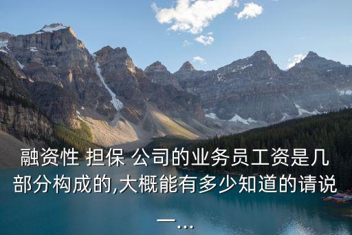 融資性 擔保 公司的業(yè)務(wù)員工資是幾部分構(gòu)成的,大概能有多少知道的請說一...