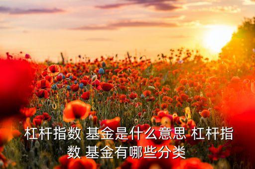  杠桿指數(shù) 基金是什么意思 杠桿指數(shù) 基金有哪些分類