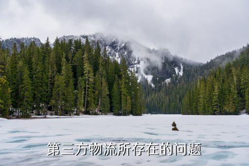 外資在中國快遞行業(yè)投資,快遞行業(yè)前景如何,還值得投資嗎?