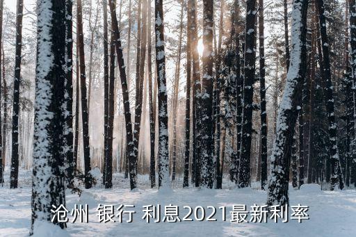  滄州 銀行 利息2021最新利率