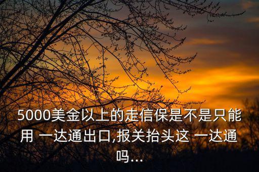 5000美金以上的走信保是不是只能用 一達通出口,報關(guān)抬頭這 一達通嗎...