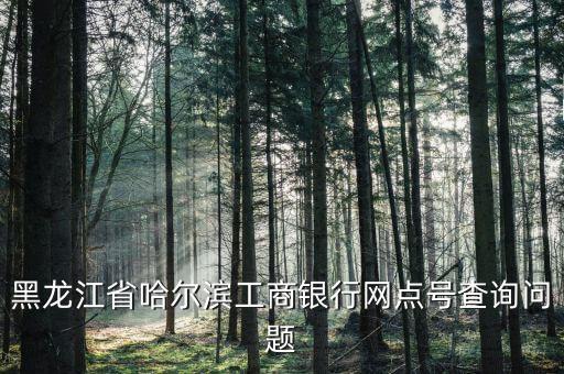 黑龍江省哈爾濱工商銀行網(wǎng)點(diǎn)號查詢問題