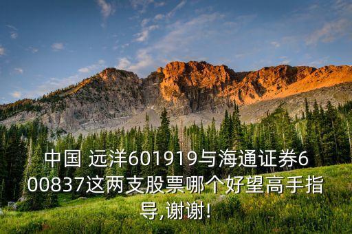 中國 遠(yuǎn)洋601919與海通證券600837這兩支股票哪個好望高手指導(dǎo),謝謝!