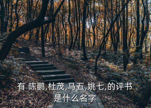 有 陳鵬,杜茂,馬五,姚七,的評(píng)書(shū)是什么名字