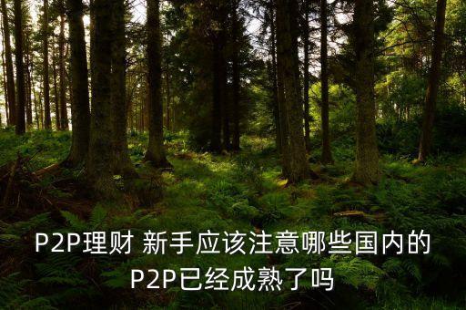 p2p網(wǎng)貸新手投資人投資指南