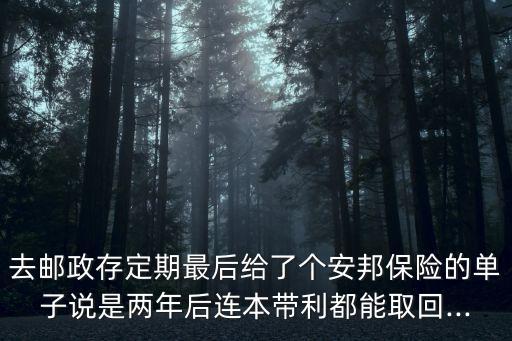 去郵政存定期最后給了個安邦保險的單子說是兩年后連本帶利都能取回...