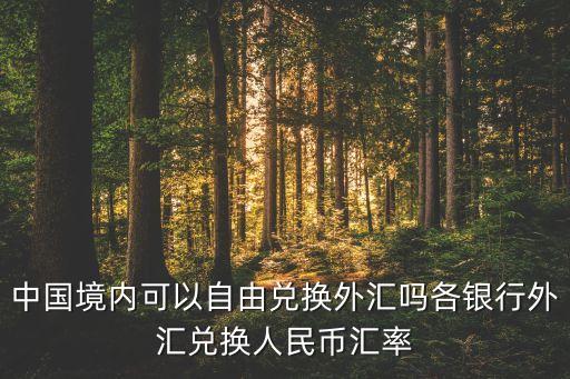 中國境內(nèi)可以自由兌換外匯嗎各銀行外匯兌換人民幣匯率