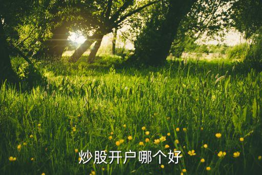 炒股開(kāi)戶哪個(gè)好