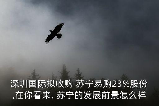 深圳國際擬收購 蘇寧易購23%股份,在你看來, 蘇寧的發(fā)展前景怎么樣