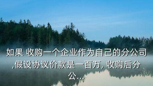 如果 收購一個(gè)企業(yè)作為自己的分公司,假設(shè)協(xié)議價(jià)款是一百萬, 收購后分公...