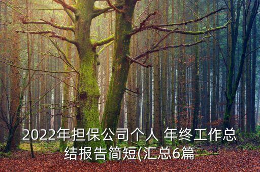 2022年擔(dān)保公司個人 年終工作總結(jié)報告簡短(匯總6篇