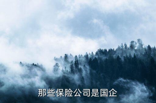 那些保險(xiǎn)公司是國(guó)企