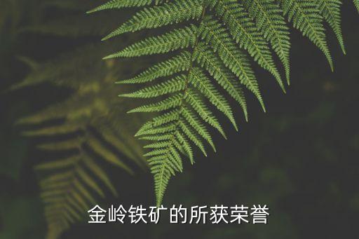 金嶺鐵礦的所獲榮譽(yù)