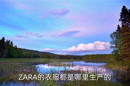 zara中國分公司在哪里,中國最大zara在哪里