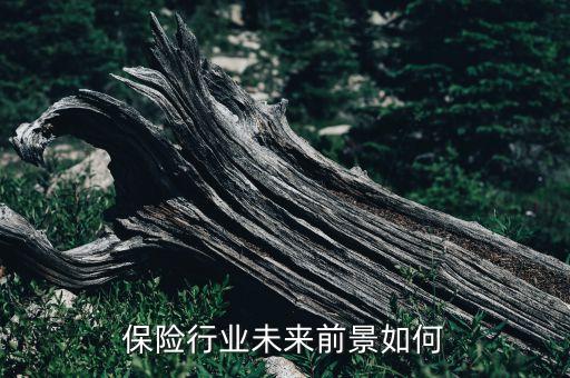 財(cái)險(xiǎn)公司發(fā)展前途,新能源公司有發(fā)展前途嗎