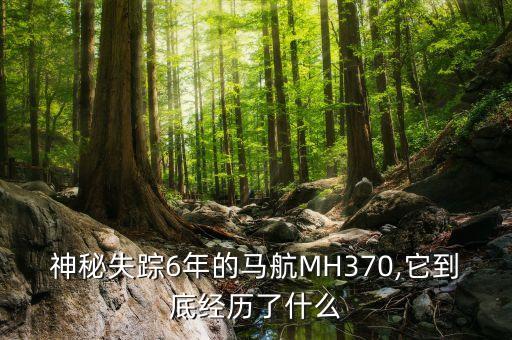 神秘失蹤6年的馬航MH370,它到底經歷了什么