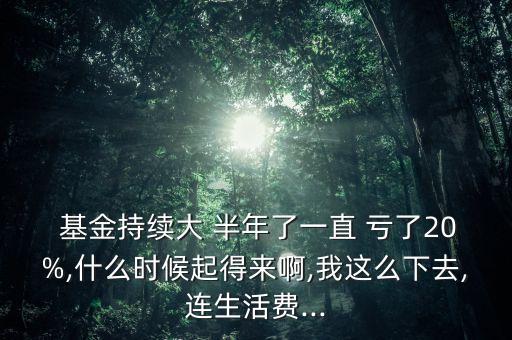  基金持續(xù)大 半年了一直 虧了20%,什么時(shí)候起得來啊,我這么下去,連生活費(fèi)...