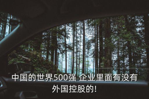 中國的世界500強(qiáng) 企業(yè)里面有沒有外國控股的!