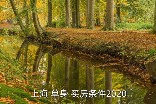  上海 單身 買房條件2020