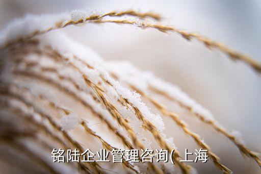 銘陸企業(yè)管理咨詢( 上海