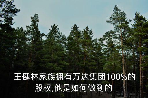  王健林家族擁有萬達集團100%的股權(quán),他是如何做到的