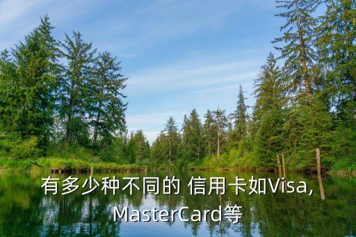 有多少種不同的 信用卡如Visa,MasterCard等