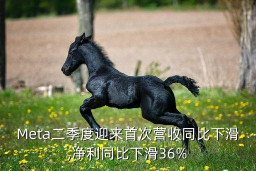 Meta二季度迎來(lái)首次營(yíng)收同比下滑,凈利同比下滑36%