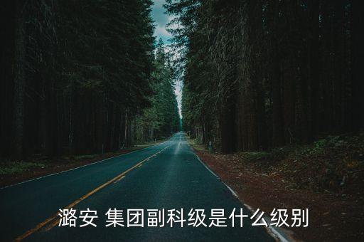  潞安 集團副科級是什么級別