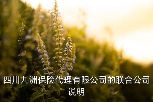 四川九洲保險(xiǎn)代理有限公司的聯(lián)合公司說(shuō)明