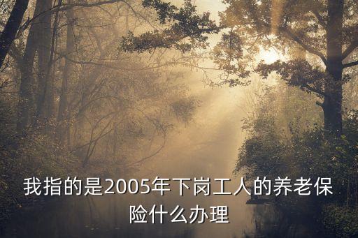 我指的是2005年下崗工人的養(yǎng)老保險(xiǎn)什么辦理