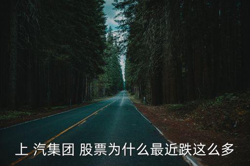 上 汽集團 股票為什么最近跌這么多