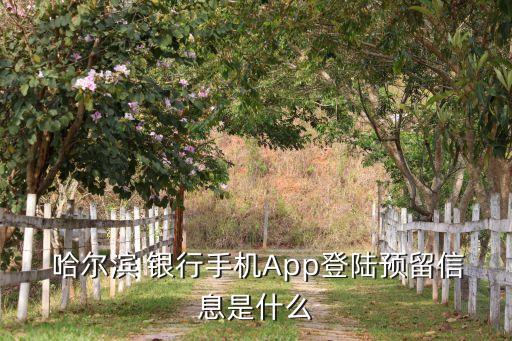  哈爾濱 銀行手機(jī)App登陸預(yù)留信息是什么