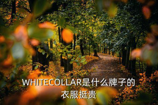 WHITECOLLAR是什么牌子的衣服挺貴