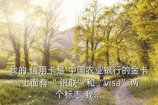 我的 信用卡是 中國農(nóng)業(yè)銀行的金卡,上面有“ 銀聯(lián)”和“visa”兩個標志,我...