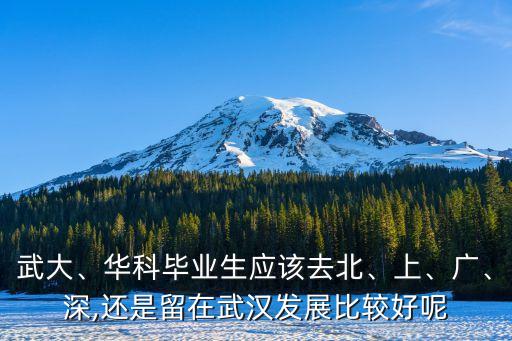 武大、華科畢業(yè)生應(yīng)該去北、上、廣、深,還是留在武漢發(fā)展比較好呢